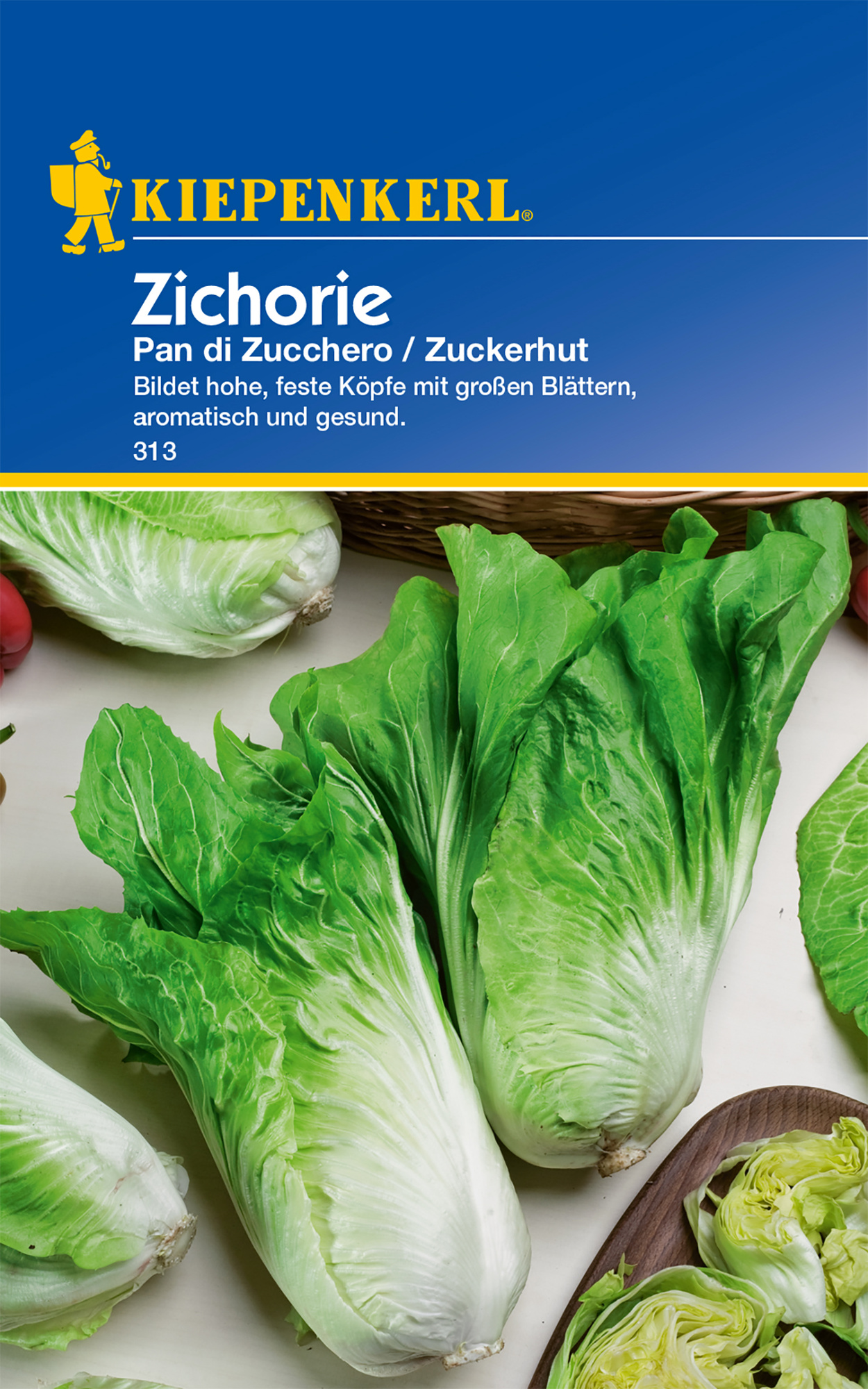 Zichorie Pan di Zucchero