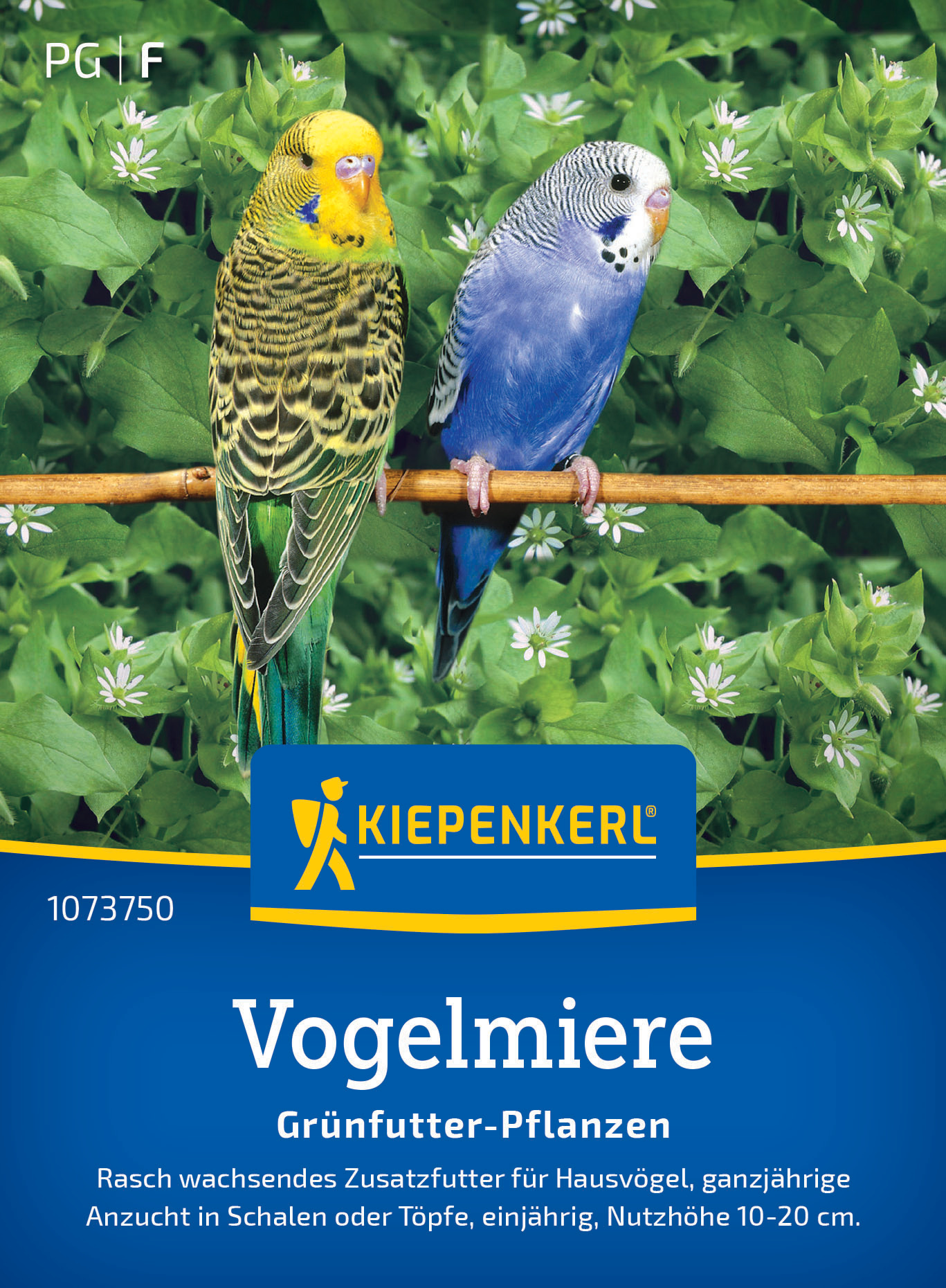 Vogelmiere