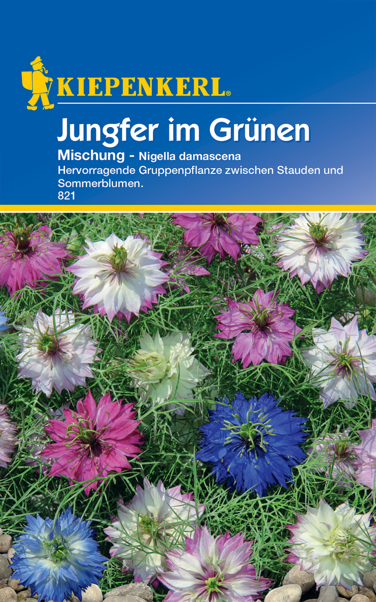 Jungfer im Grünen Mischung