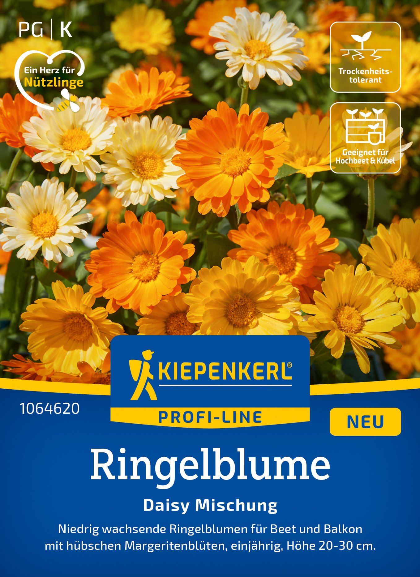 Ringelblume Daisy Mischung