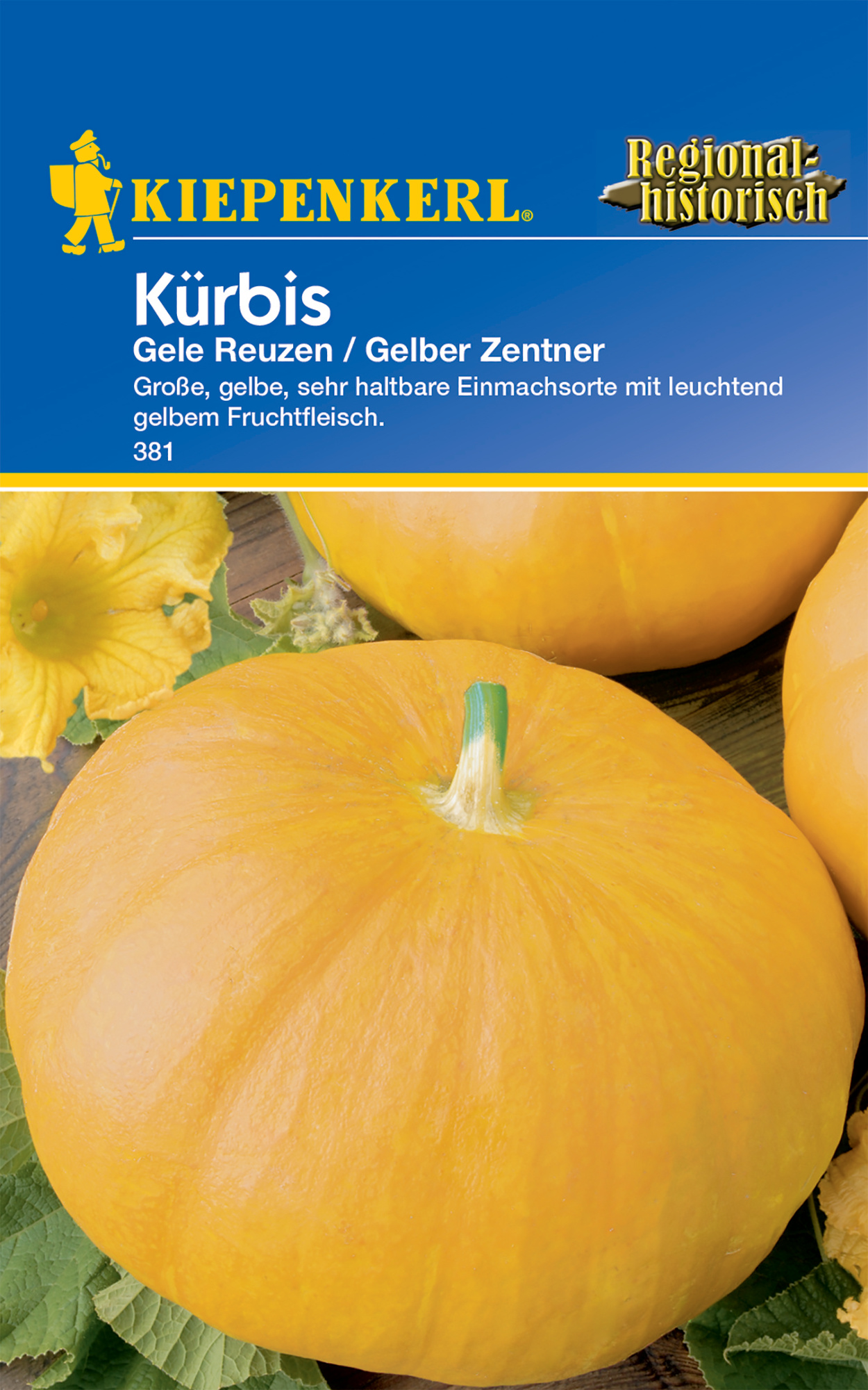 Kürbis Gele Reuzen / Gelber Zentner