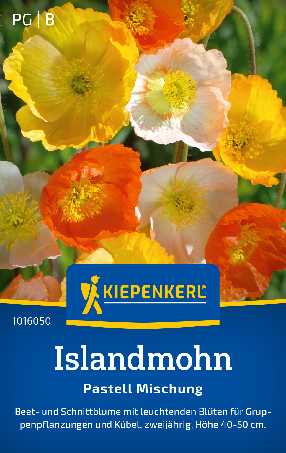 Islandmohn Pastell Mischung