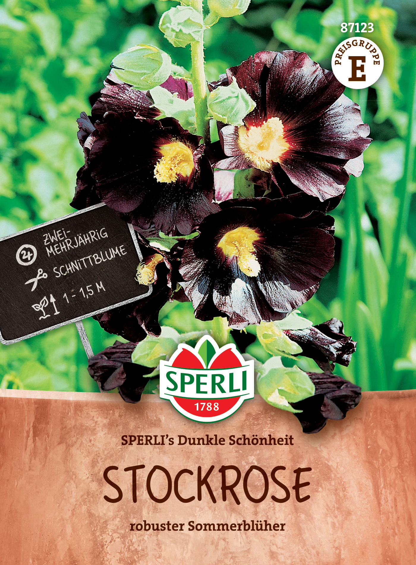 Stockrose SPERLI's Dunkle Schönheit