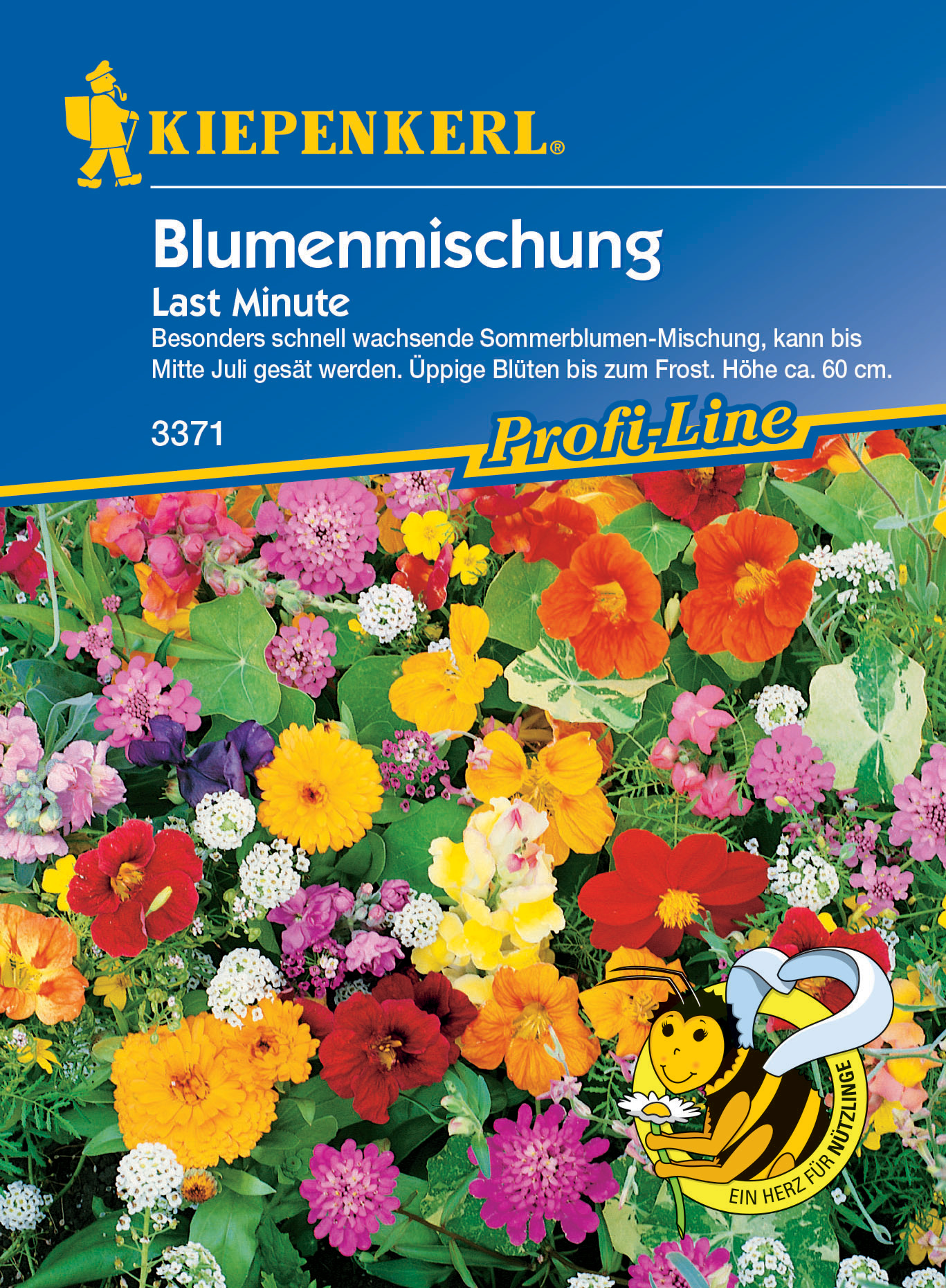 Blumenmischung Last Minute