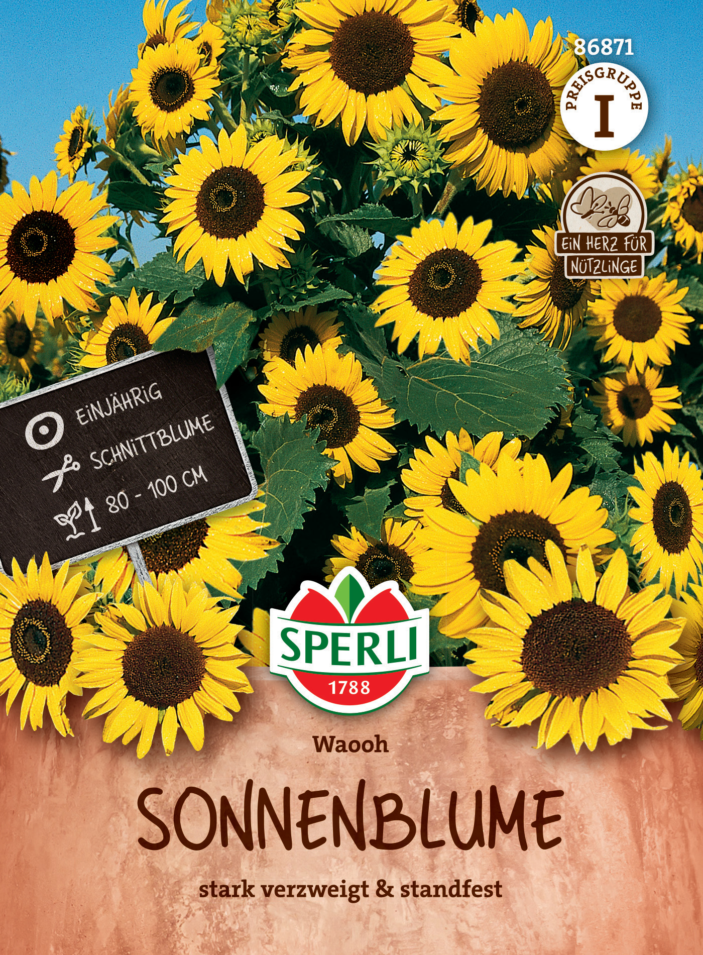 Sonnenblume Waooh