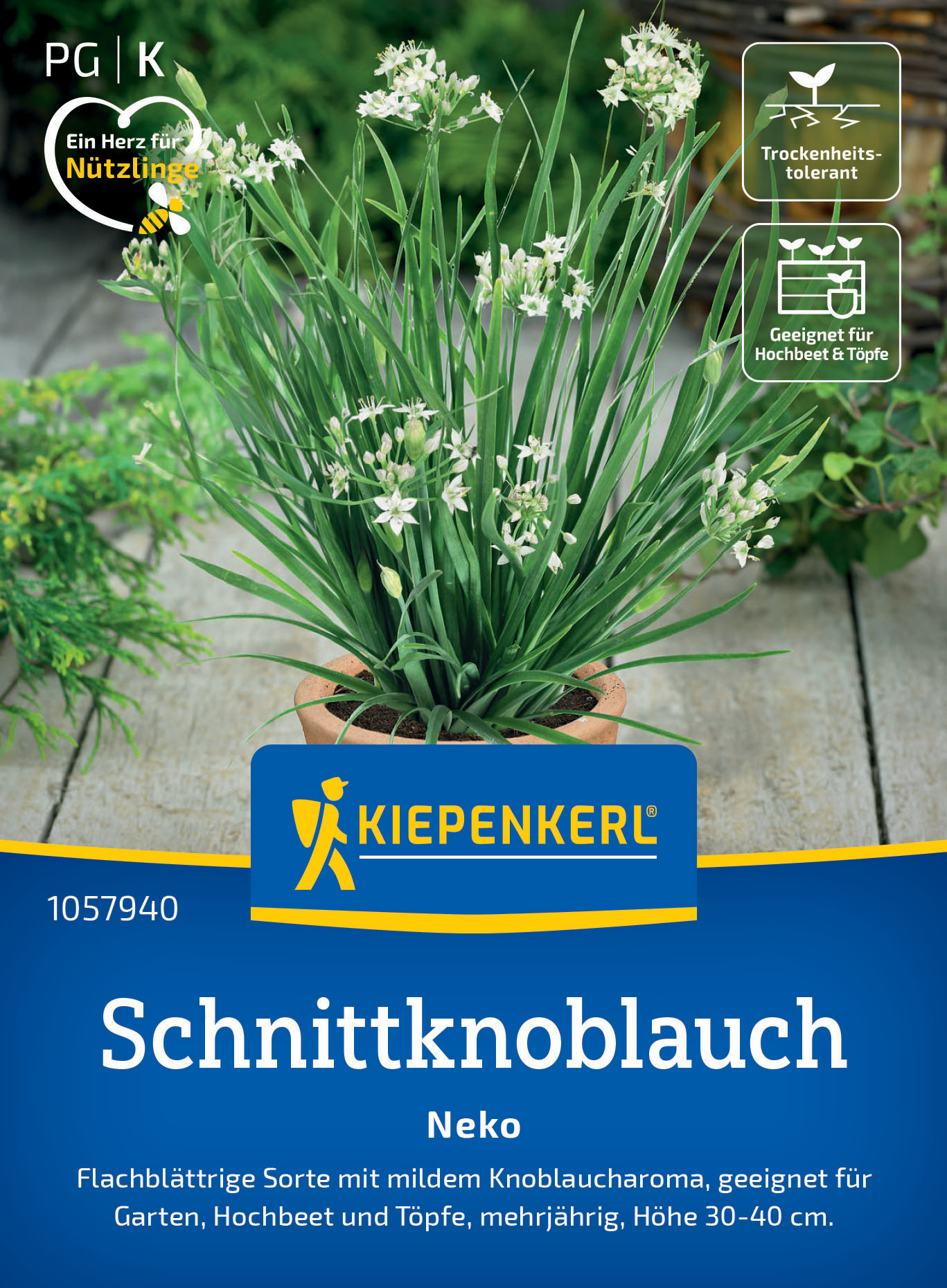 Schnittknoblauch Neko