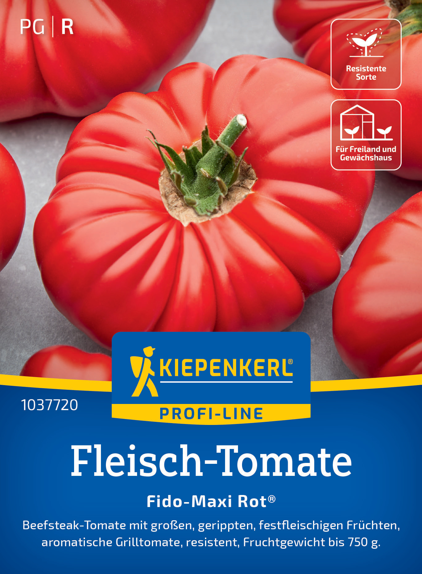 Fleisch-Tomate Fido-Maxi Rot®, F1