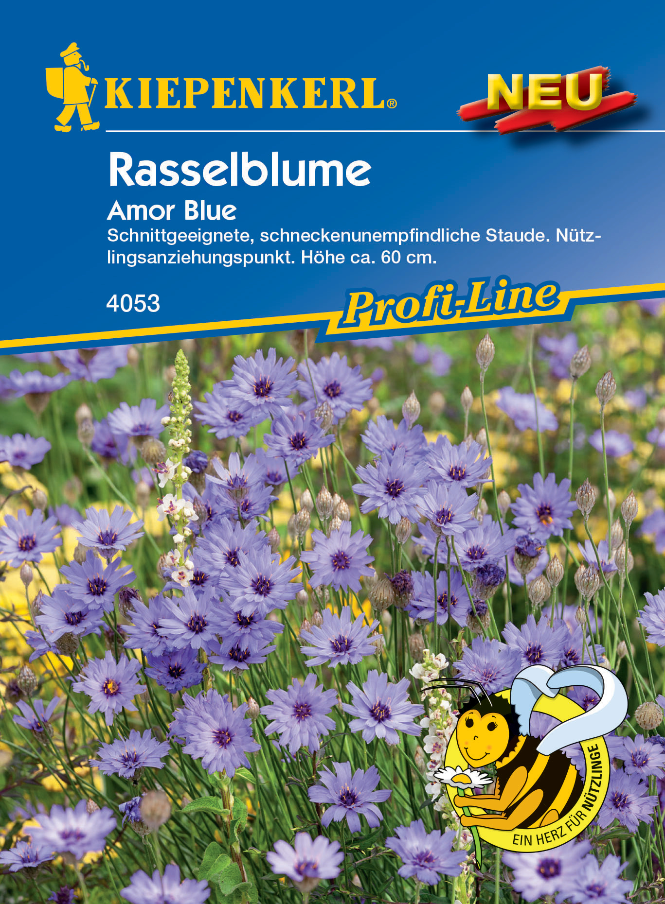 Rasselblume Amor Blue