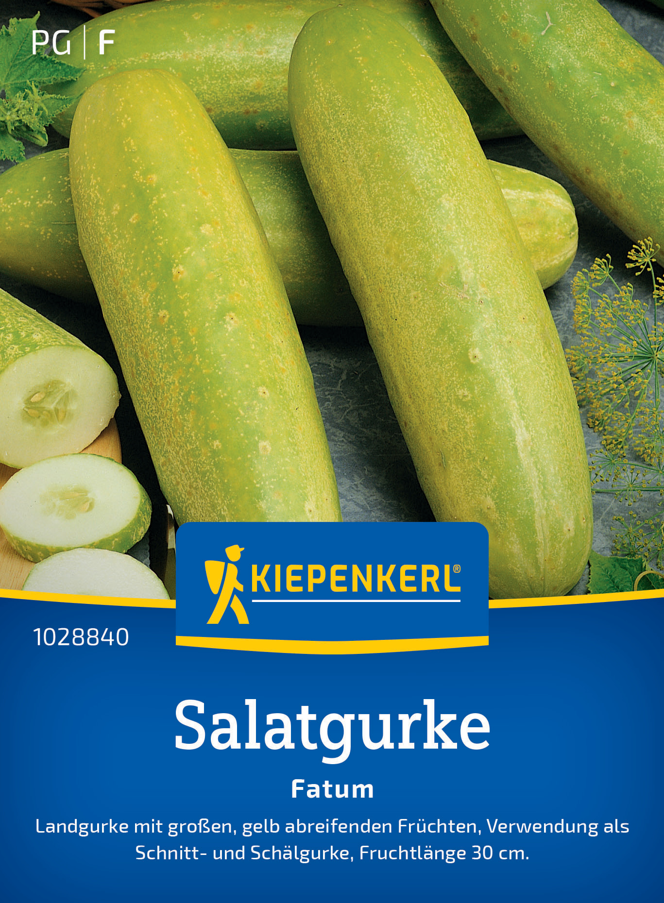 Salatgurke Fatum