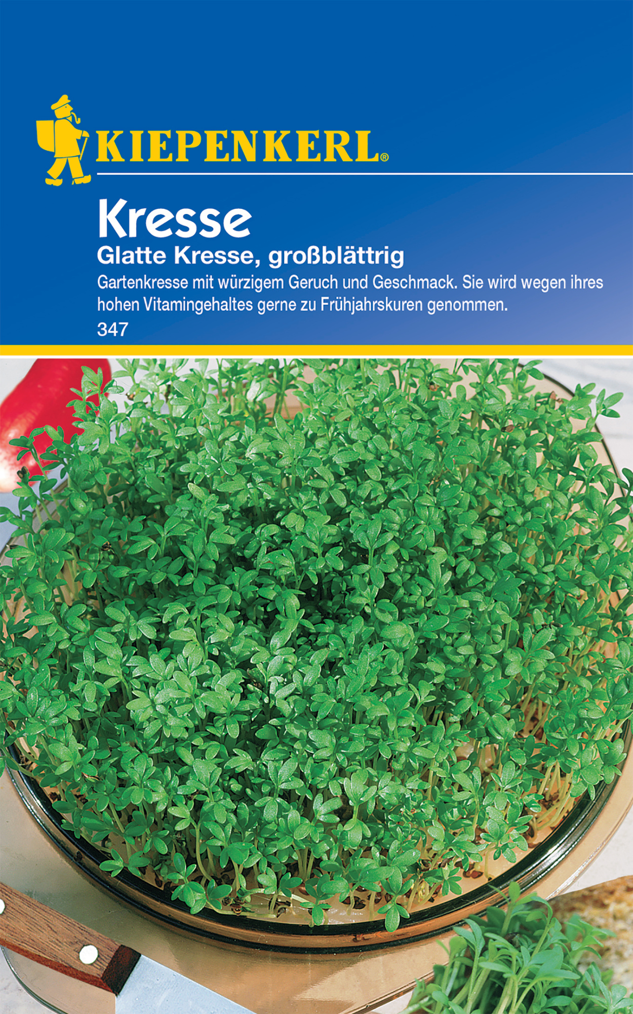 Kresse Glatte, großblättrig