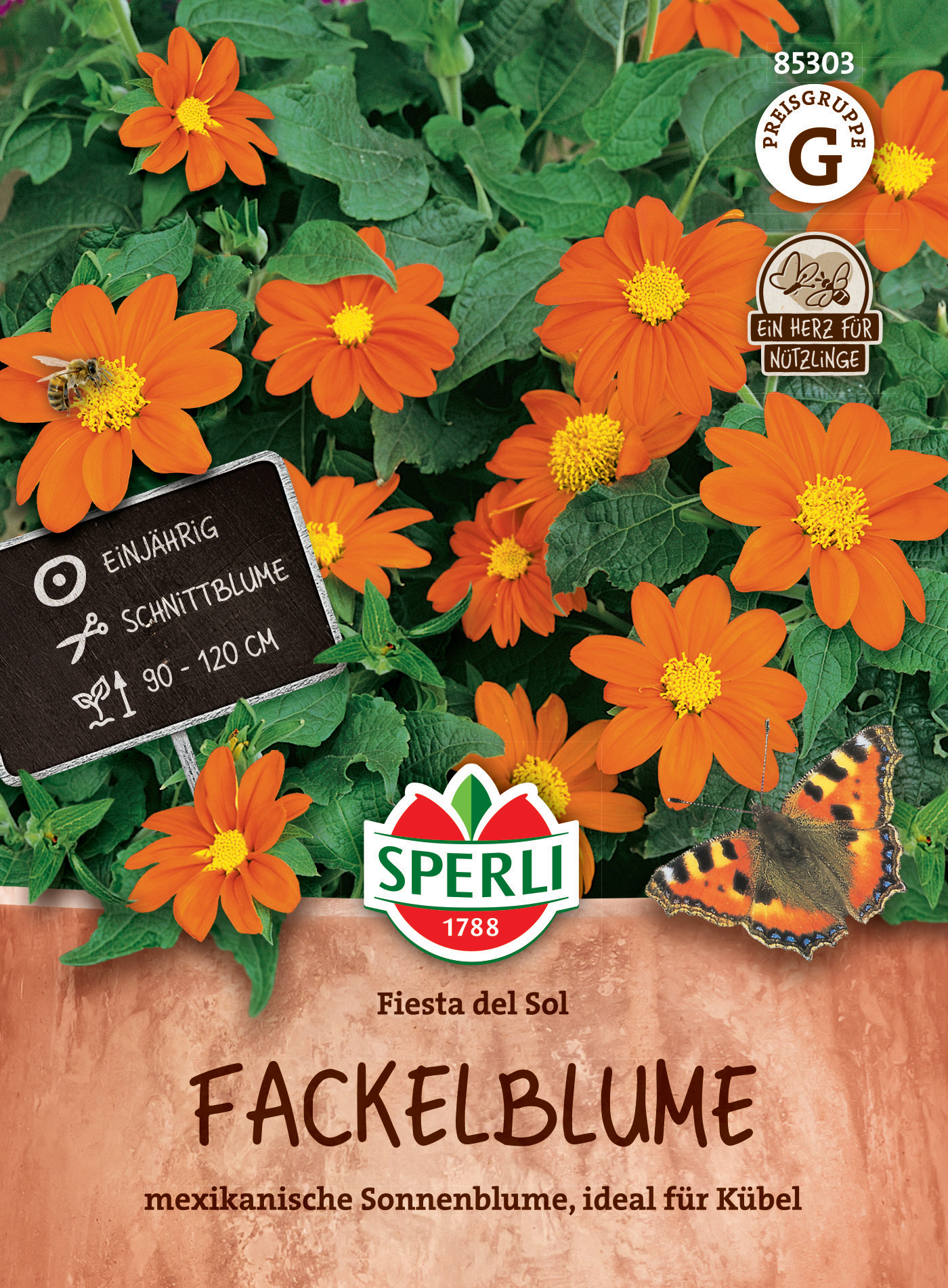 Fackelblume Fiesta del Sol