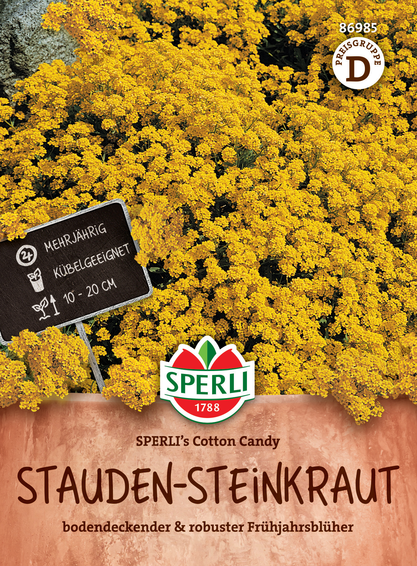 Stauden-Steinkraut SPERLI's Cotton Candy