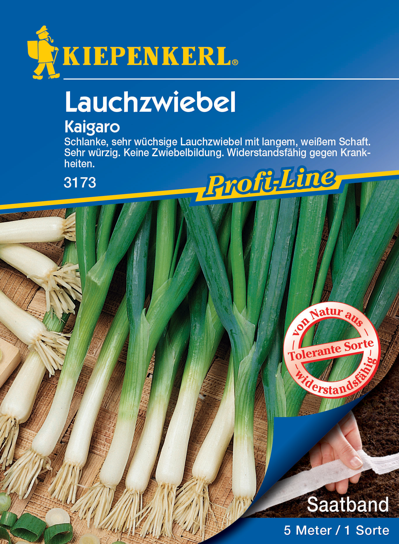 Lauchzwiebel Kaigaro, Saatband