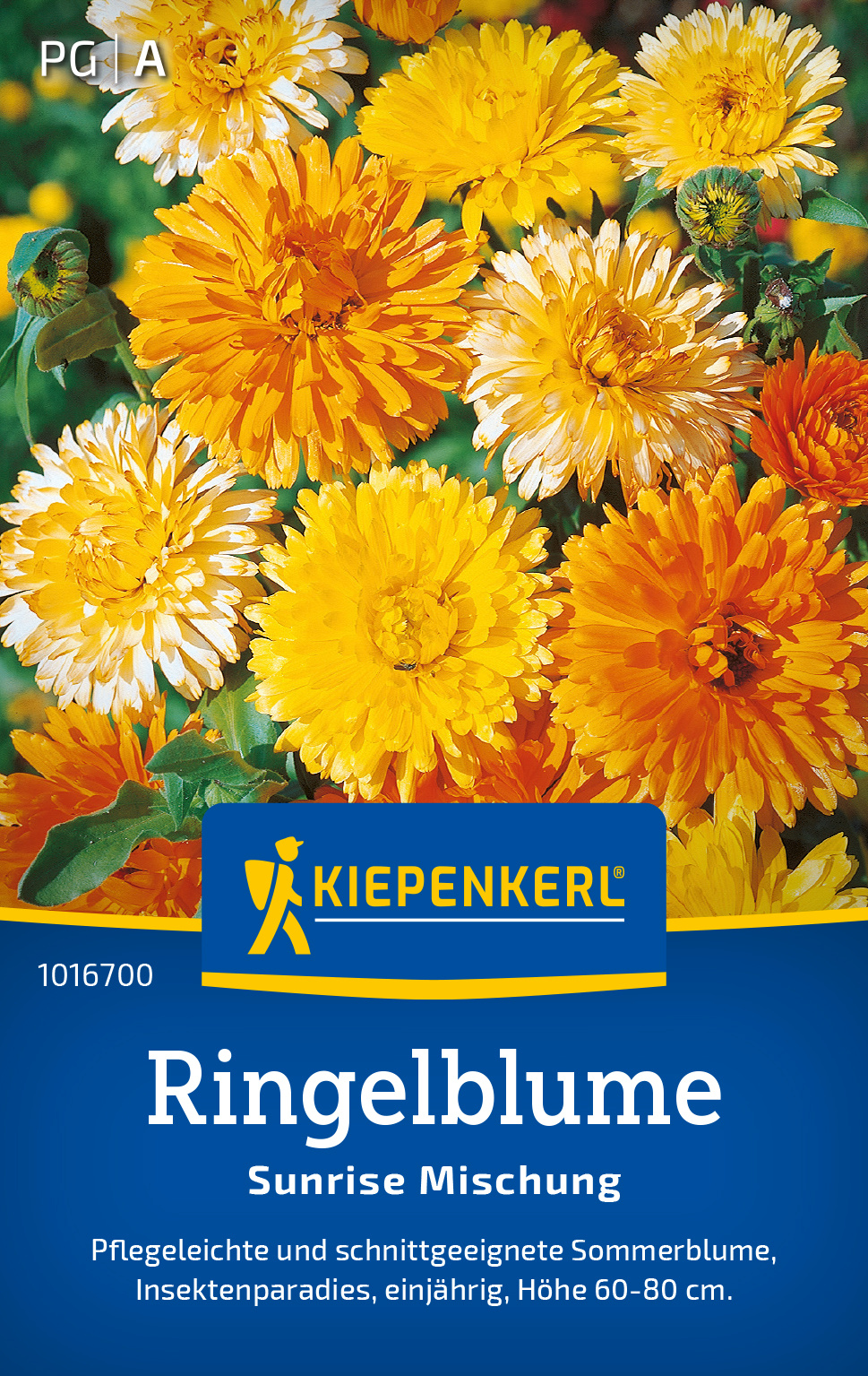 Ringelblume Sunrise Mischung