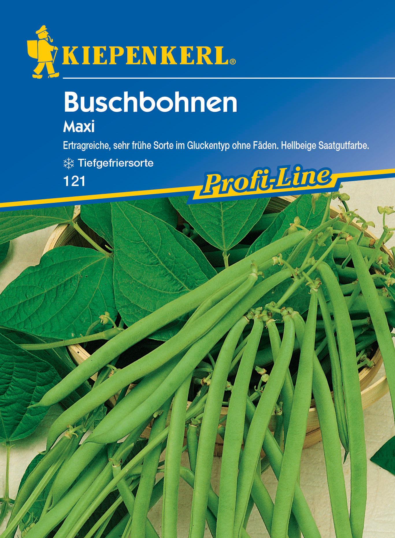 Buschbohne Maxi