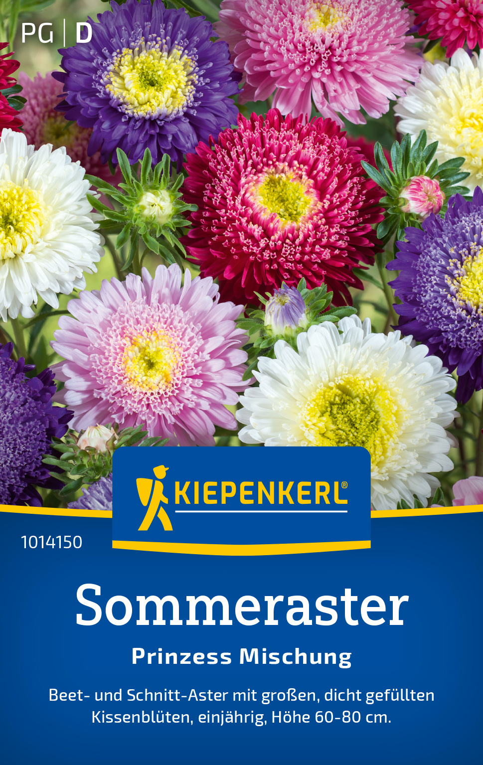 Sommeraster Prinzess Mischung