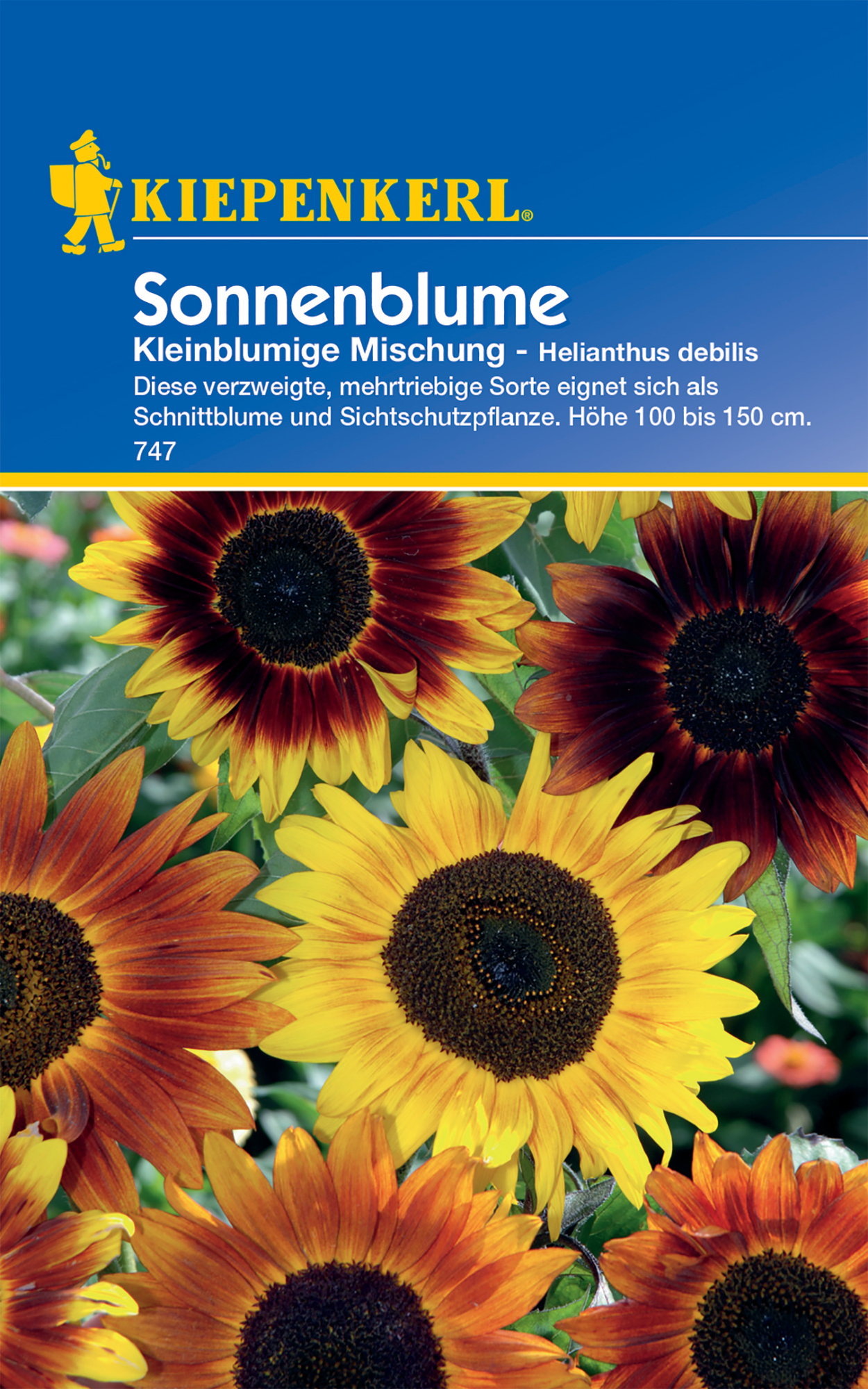 Sonnenblume Kleinblumige Mischung