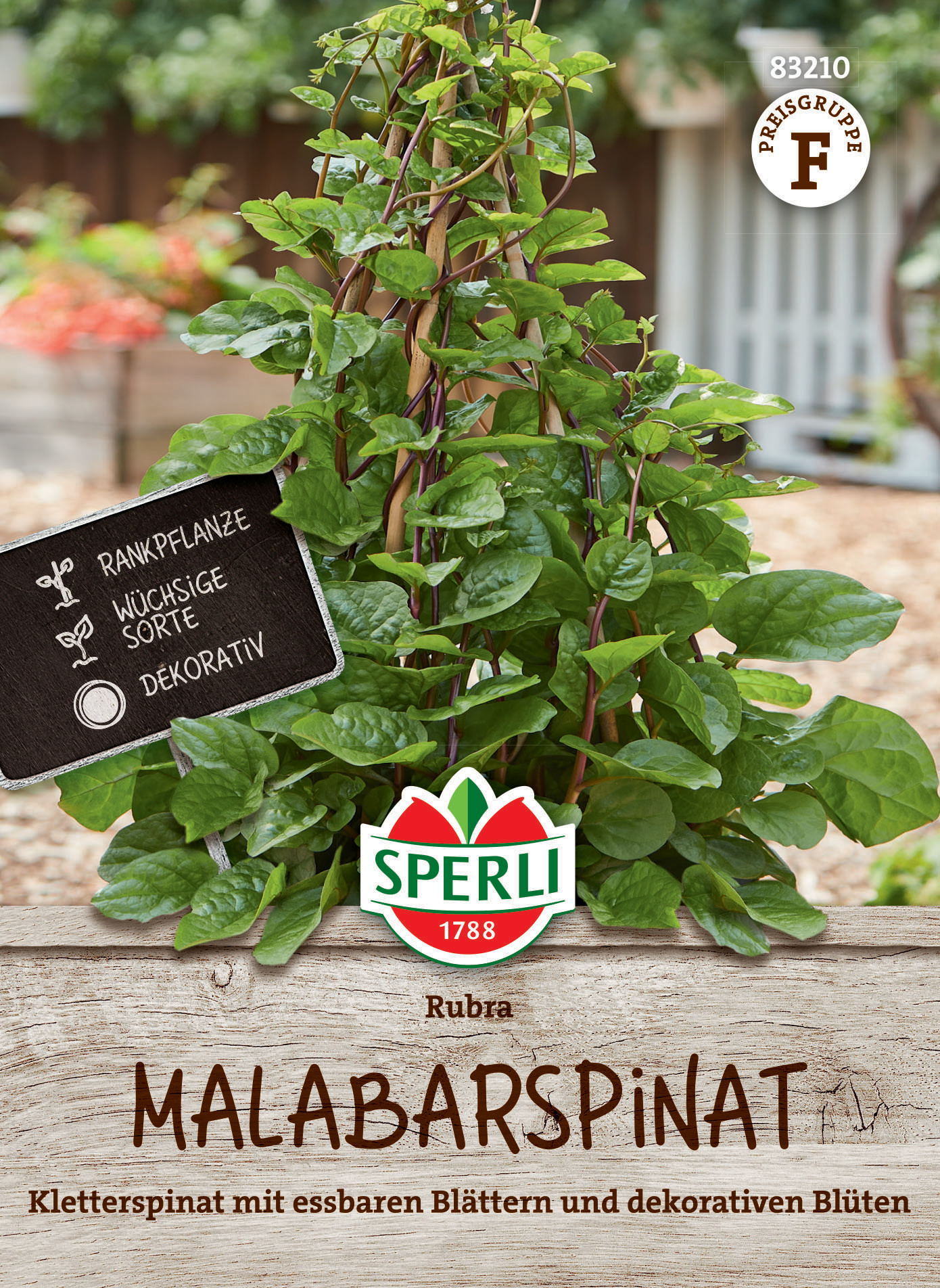 Malabarspinat Rubra