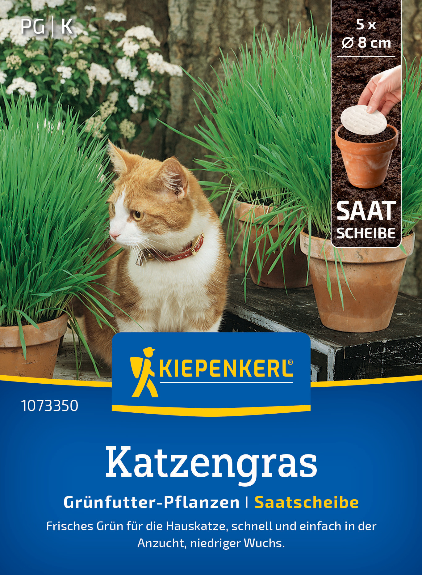 Katzengras Frischgrün Mischung, Saatscheibe