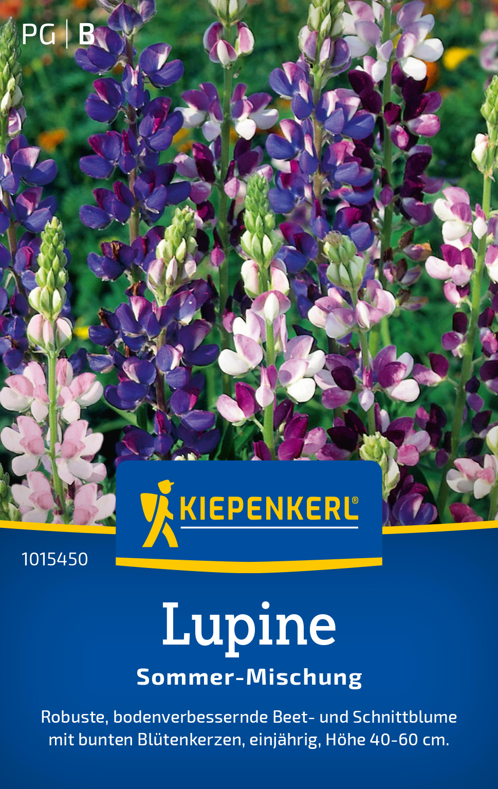 Lupine Sommer Mischung