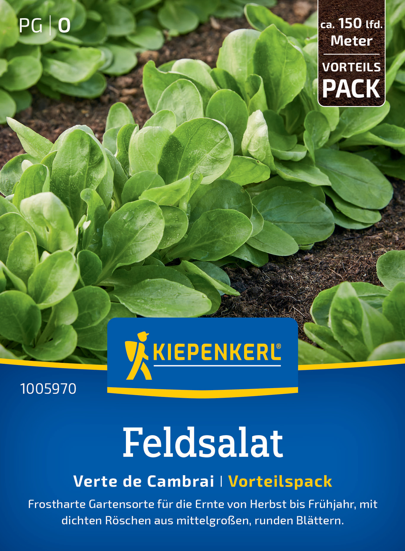 Feldsalat Verte de Cambrai Vorteilspack