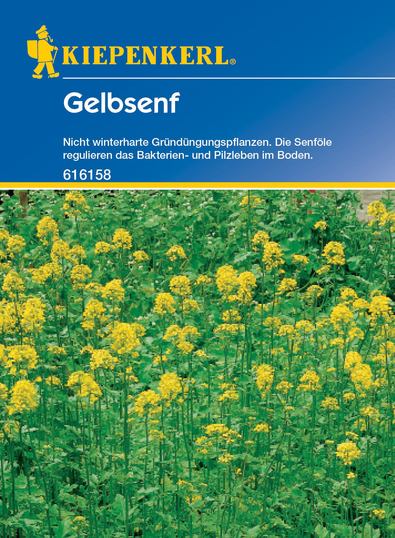 Gelbsenf, 80 g