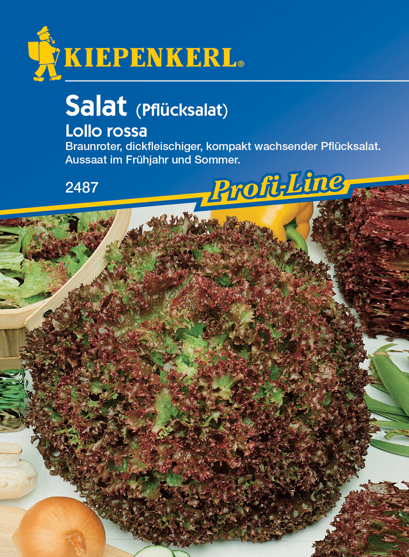 Pflücksalat Lollo rossa