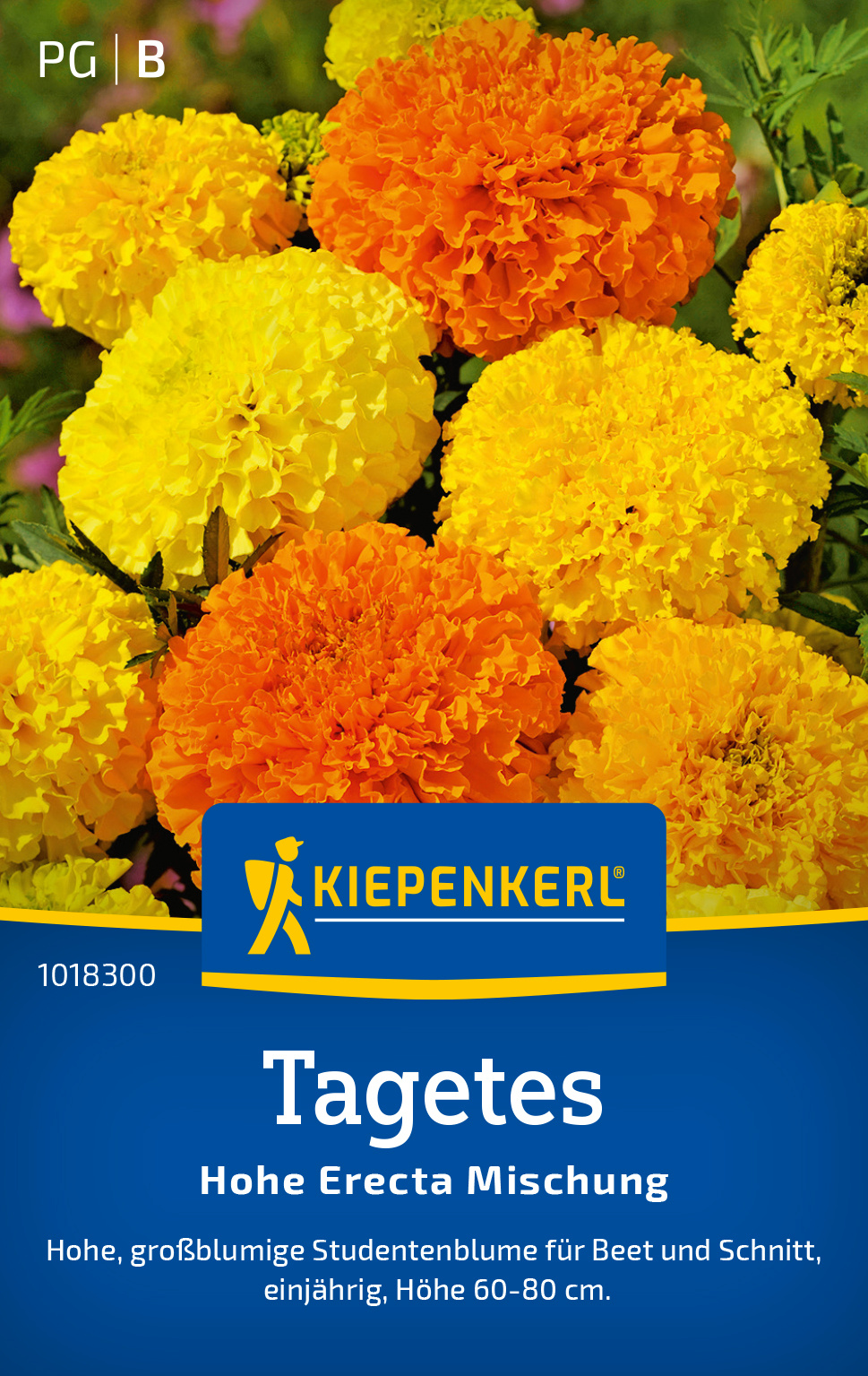 Tagetes Hohe Erecta Mischung