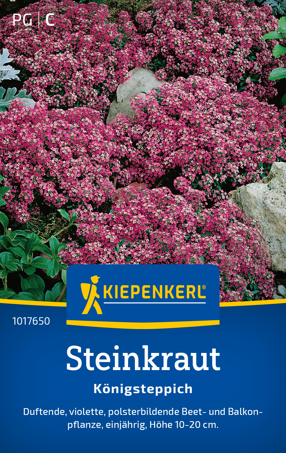 Steinkraut Königsteppich