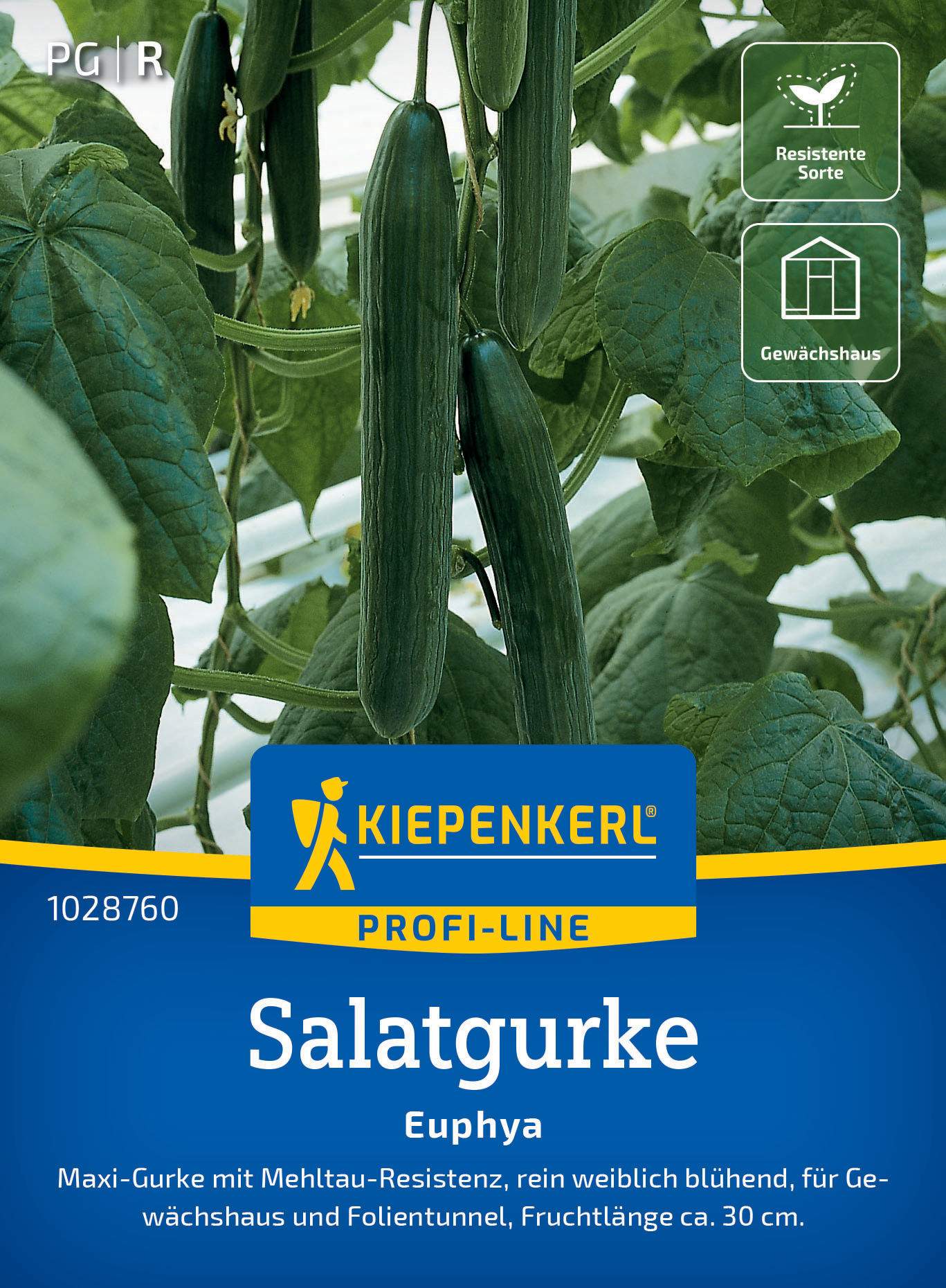 Salatgurke Euphya, F1