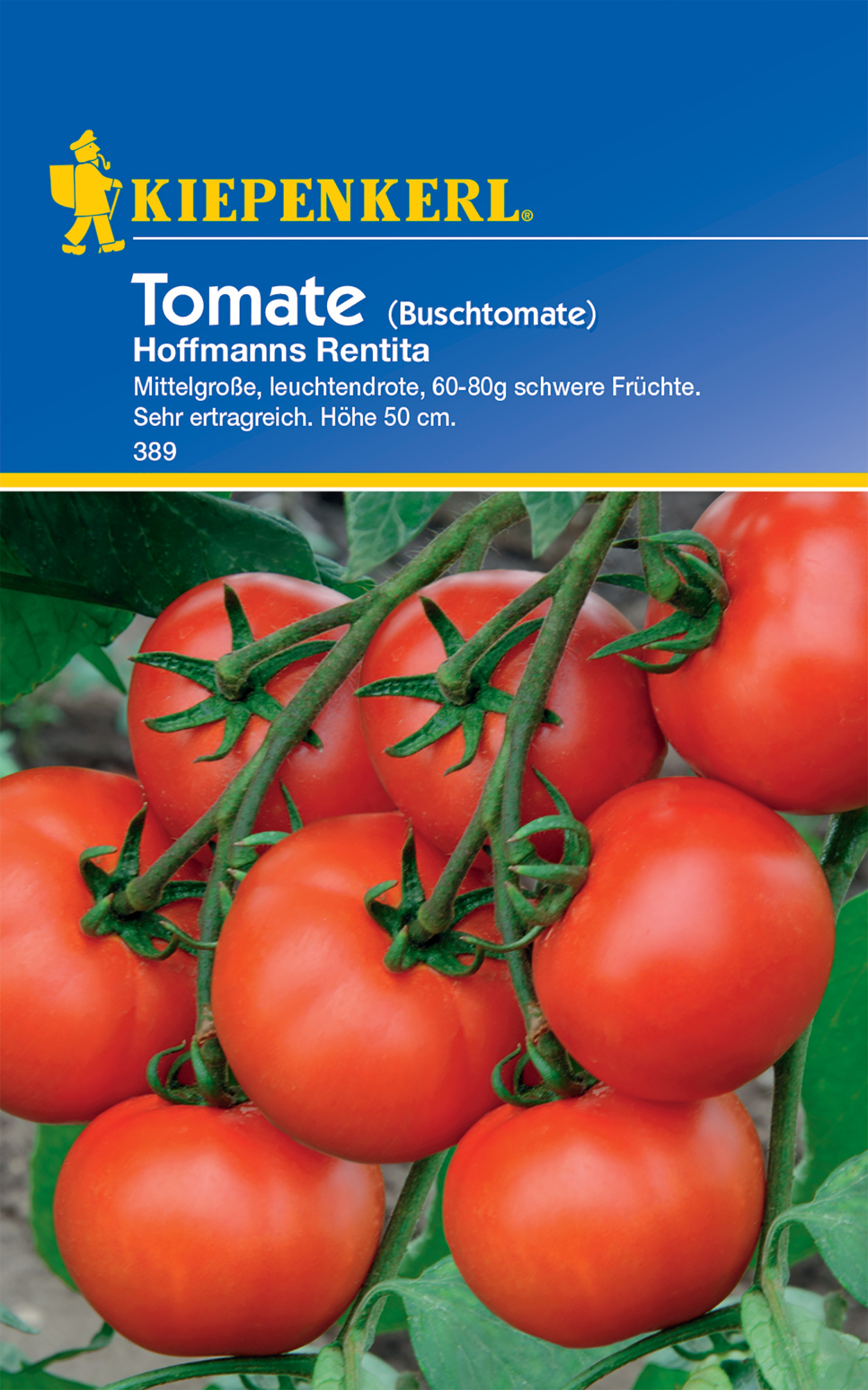 Busch-Tomate Hoffmanns Rentita