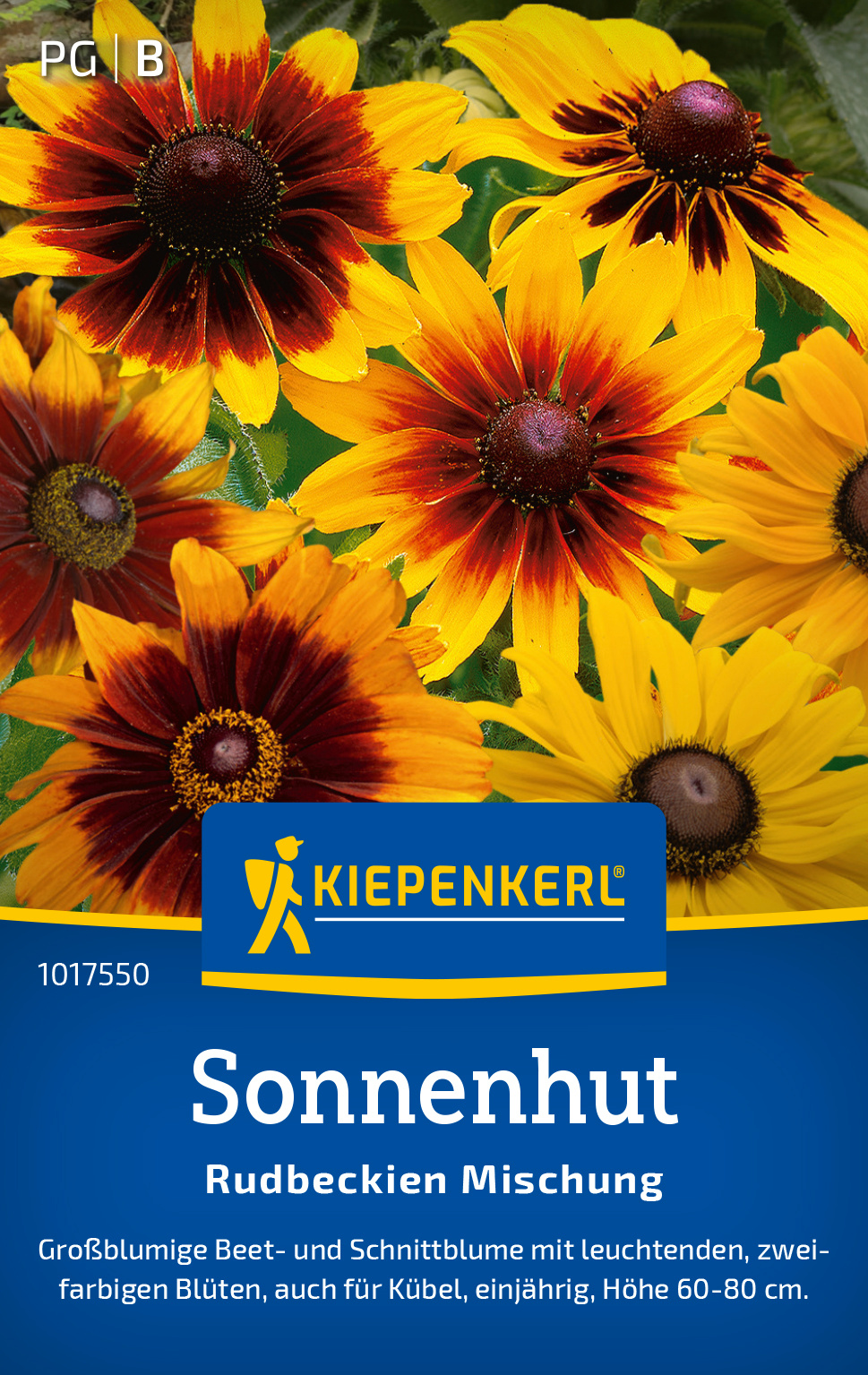 Sonnenhut Rudbeckien Mischung