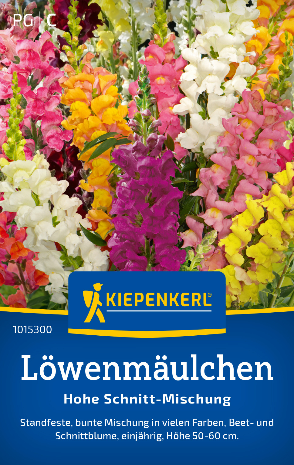 Löwenmäulchen