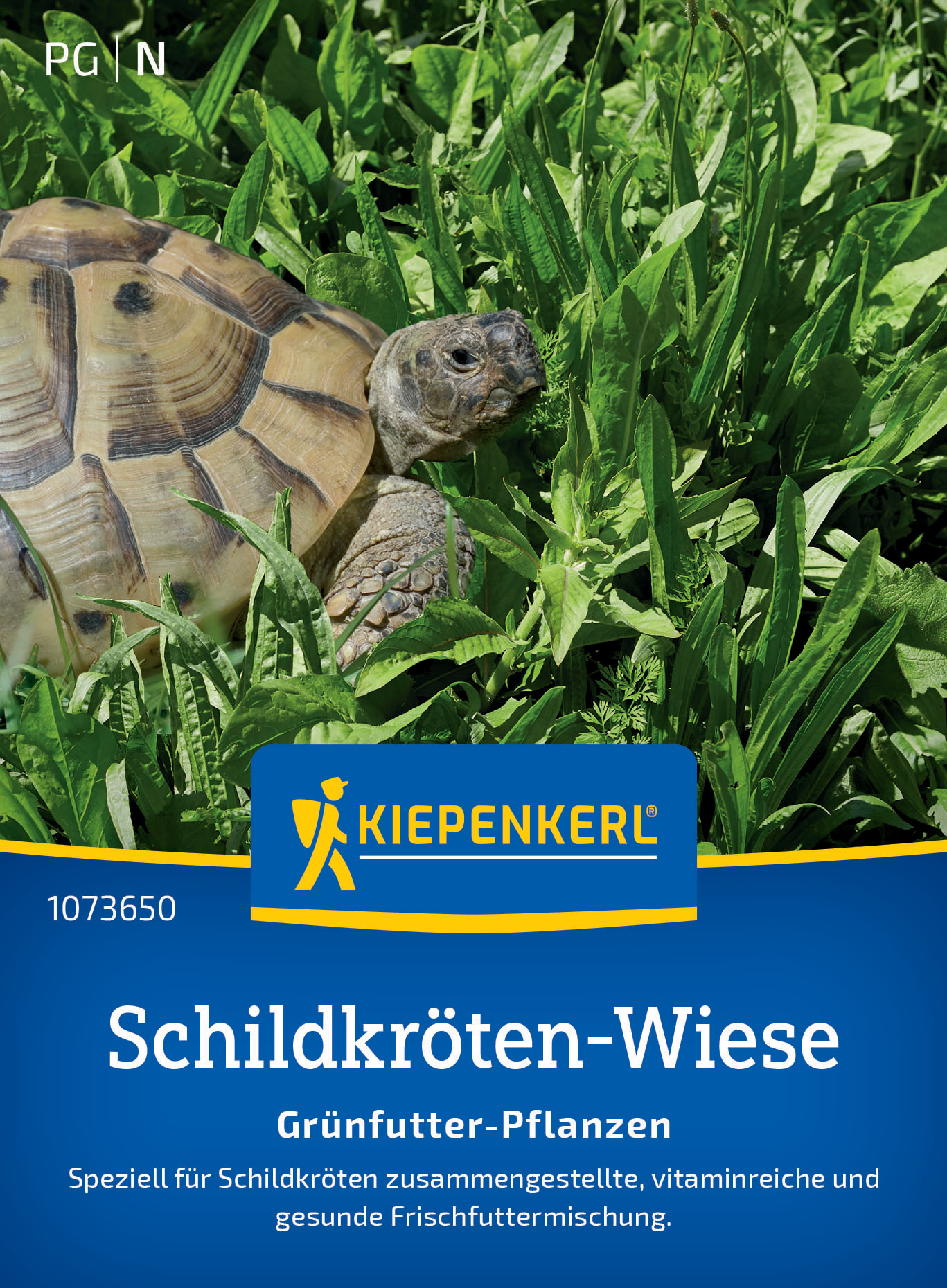 Schildkrötenmischung Grünfutter-Pflanzen