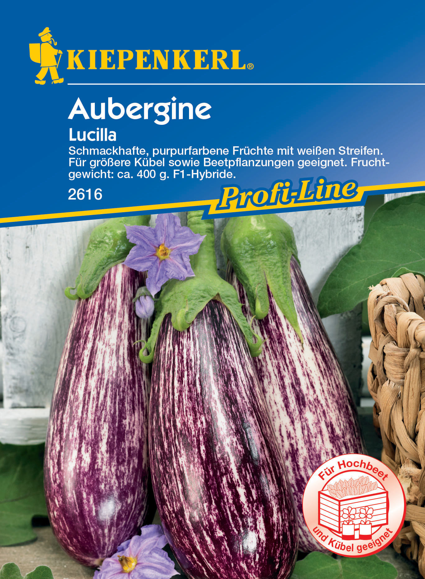 Aubergine Lucilla, F1