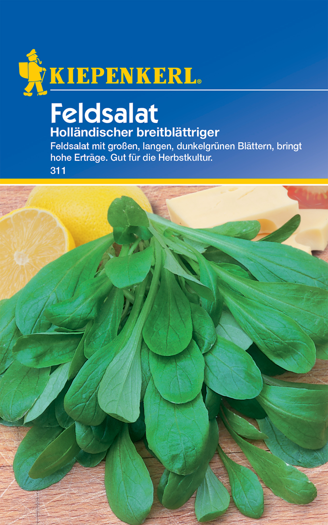 Feldsalat Holländischer breitblättriger