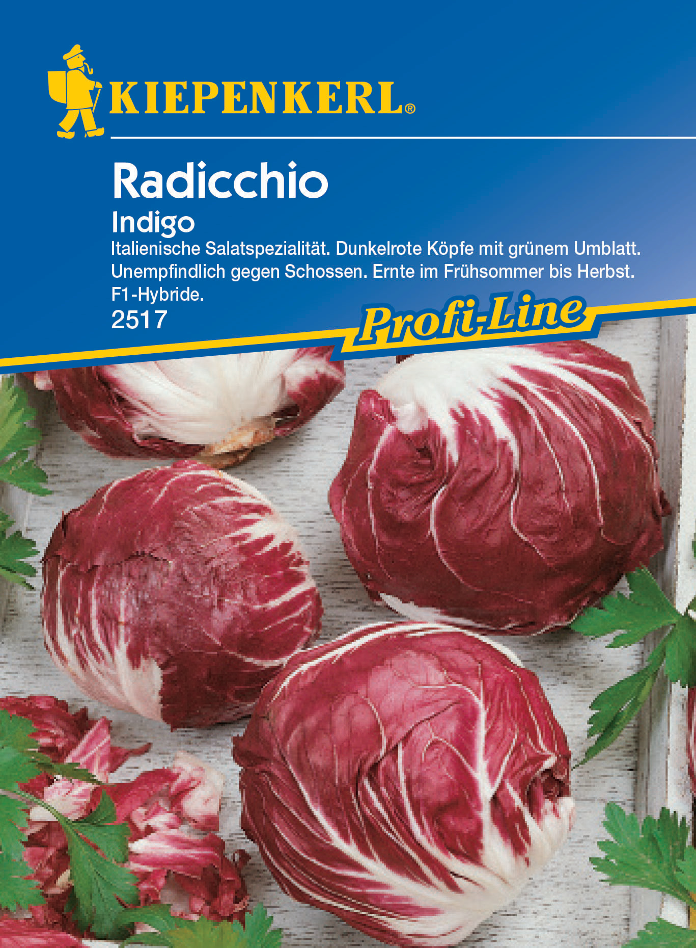 Radicchio Indigo, F1