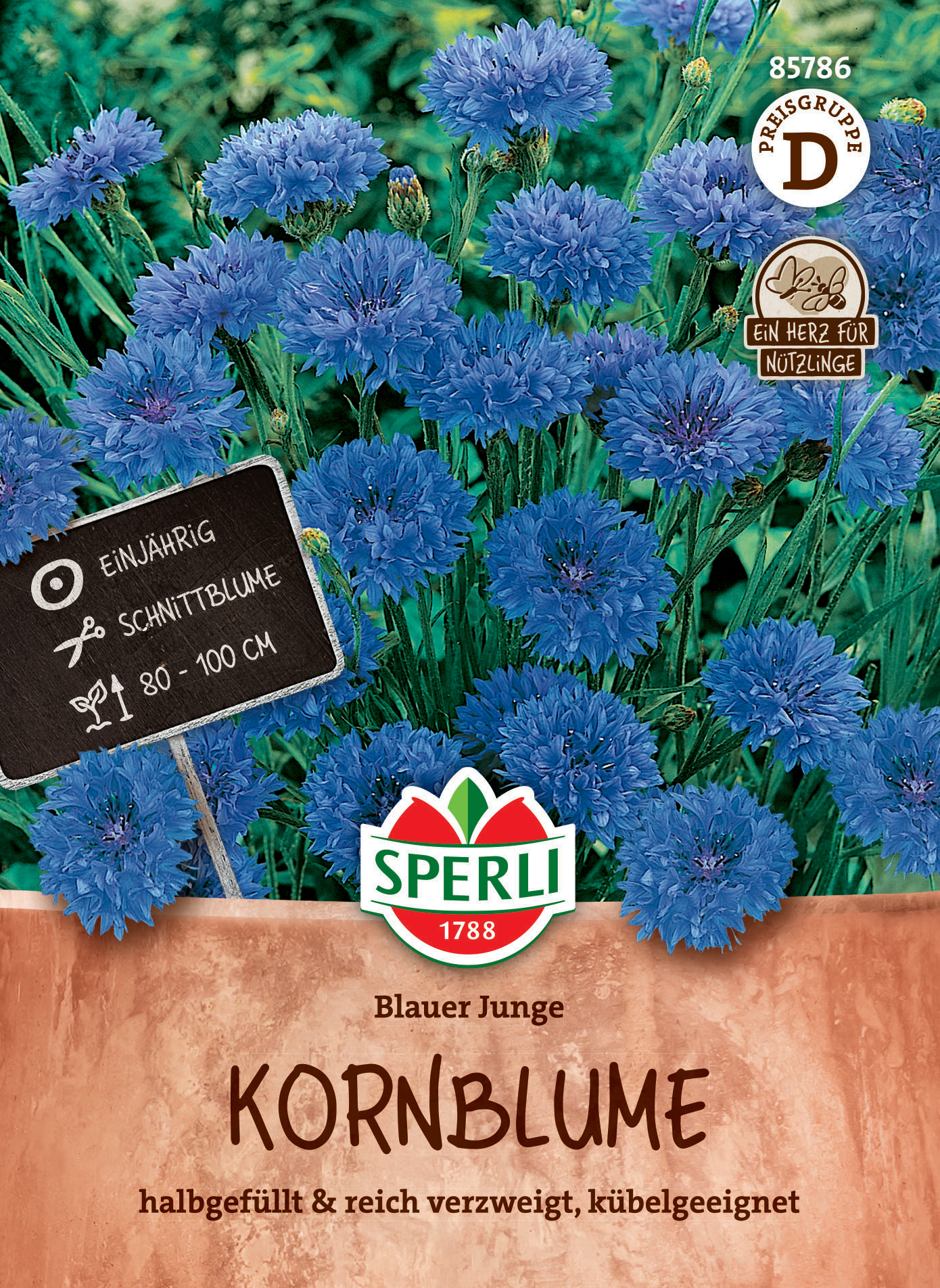 Kornblume Blauer Junge