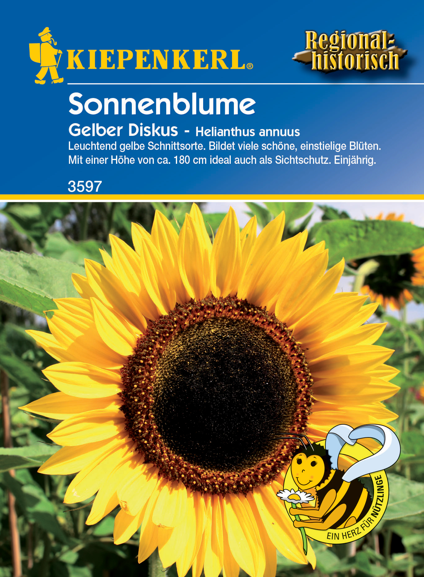 Sonnenblume Gelber Diskus