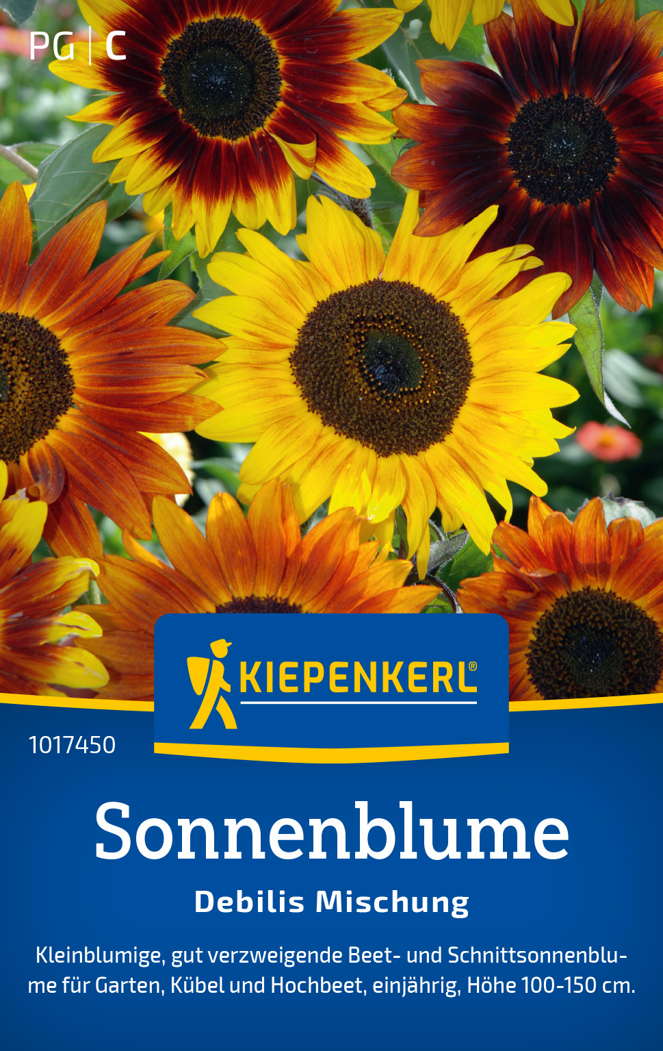 Sonnenblume Debilis Mischung