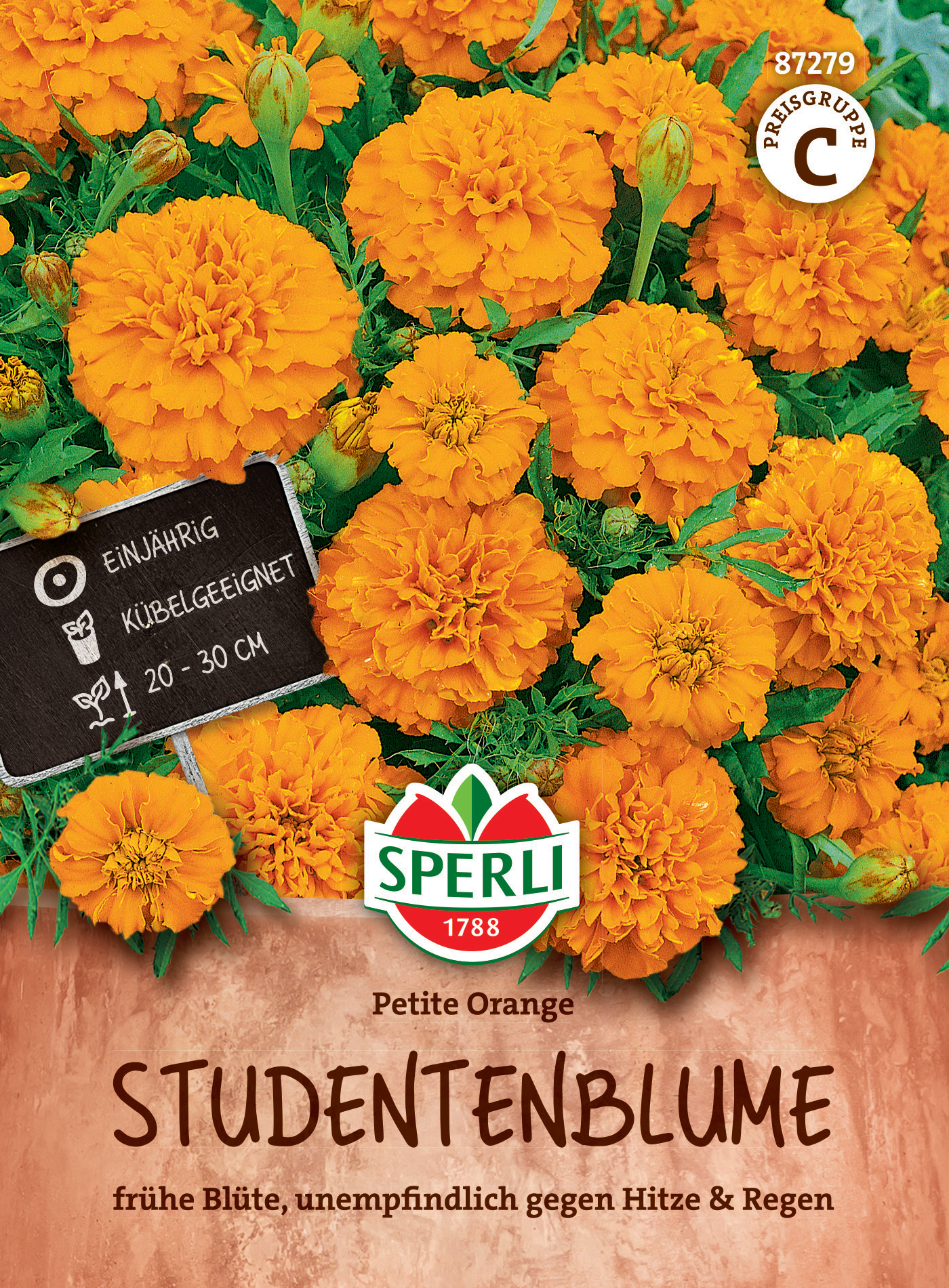 Studentenblume Petite Orange