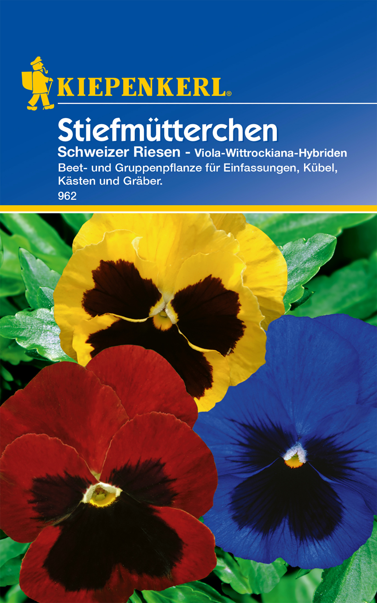 Stiefmütterchen Schweizer Riesen Mischung