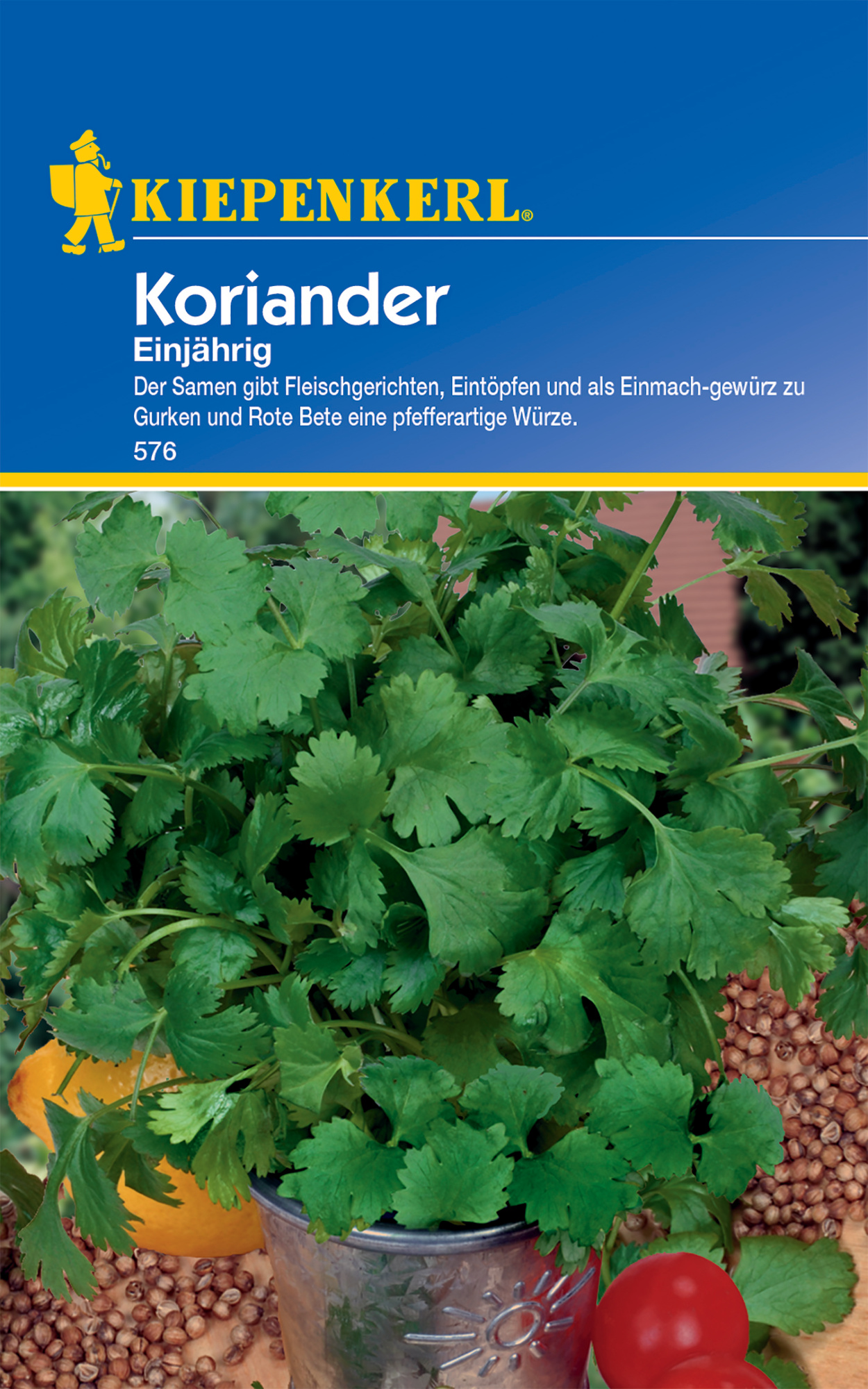 Koriander, einjährig