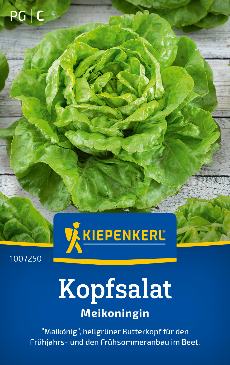 Kopfsalat Meikoningin