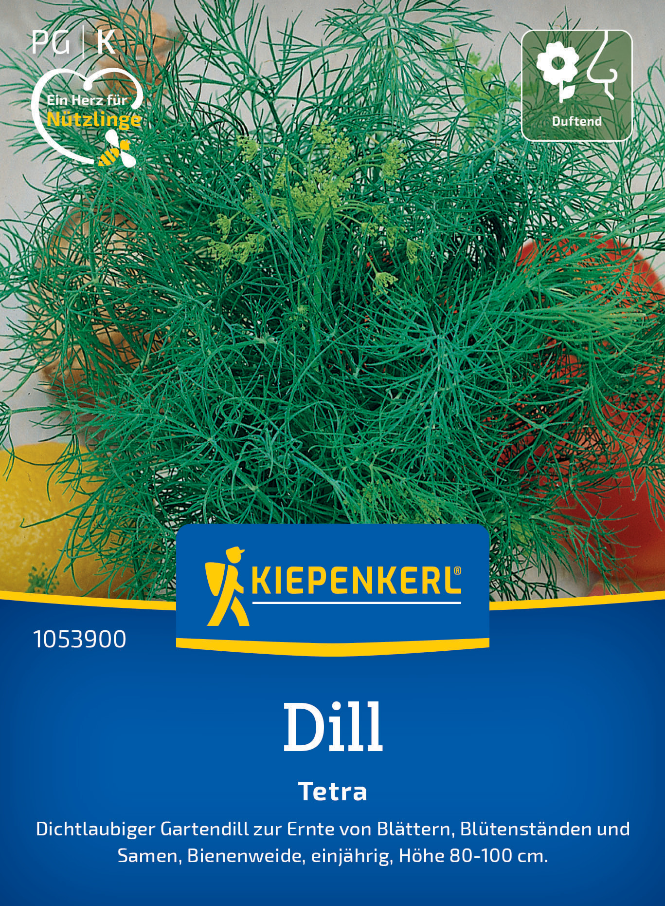 Dill Tetra