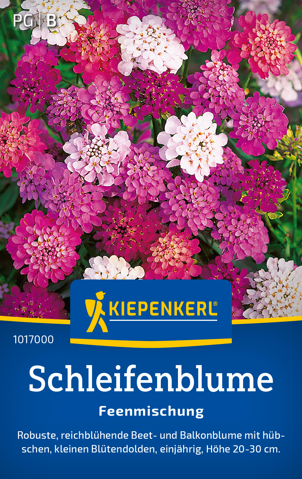 Schleifenblume Feenmischung