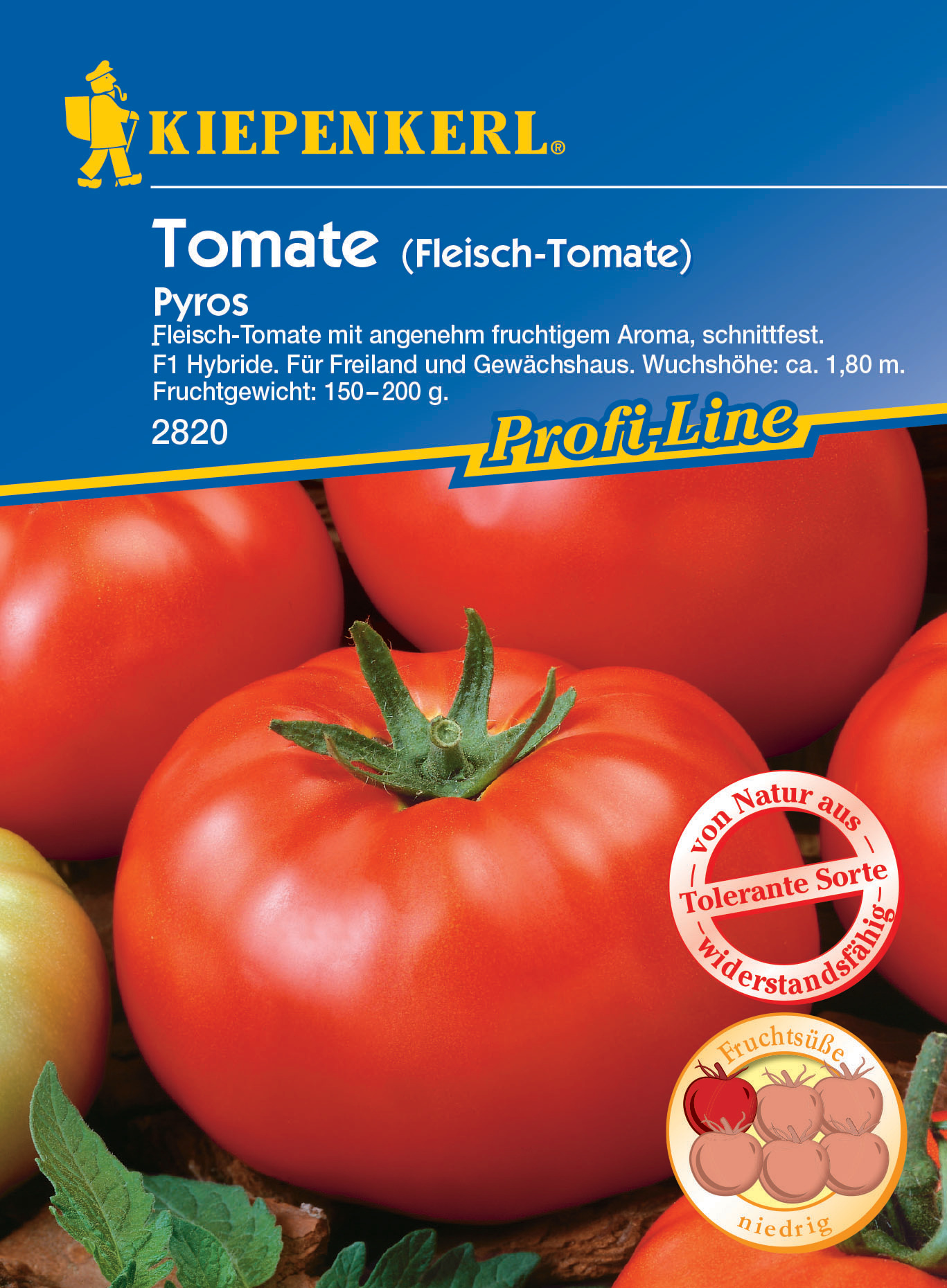 Fleisch-Tomate Pyros, F1