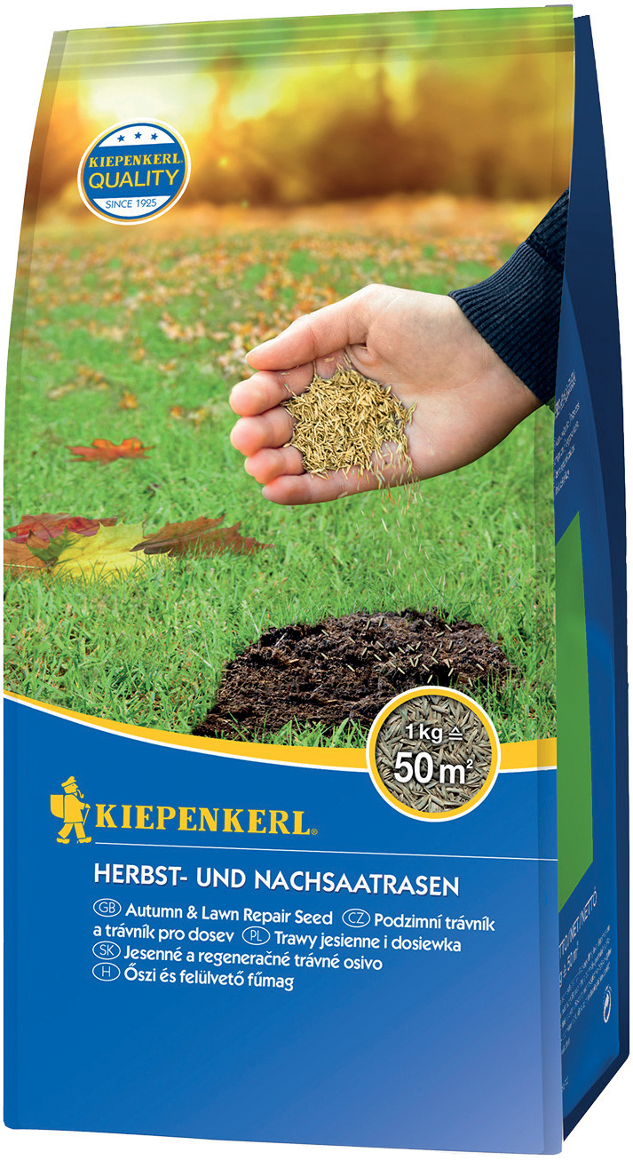 Kiepenkerl Herbst- und Nachsaatrasen, 1 kg