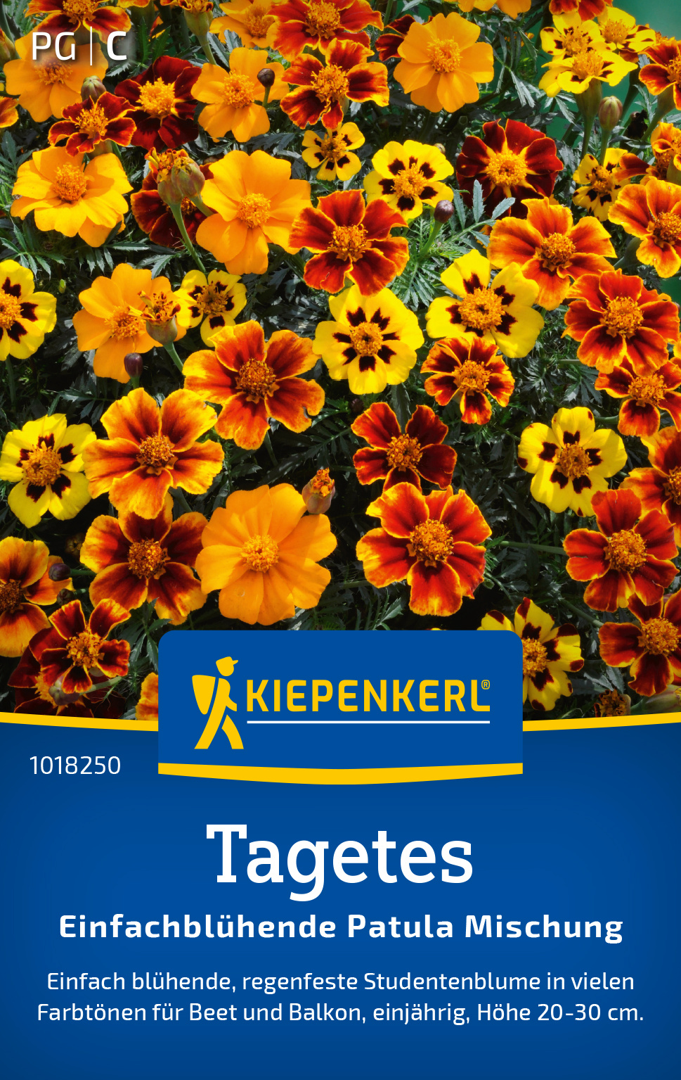 Tagetes Einfachblühende Patula Mischung