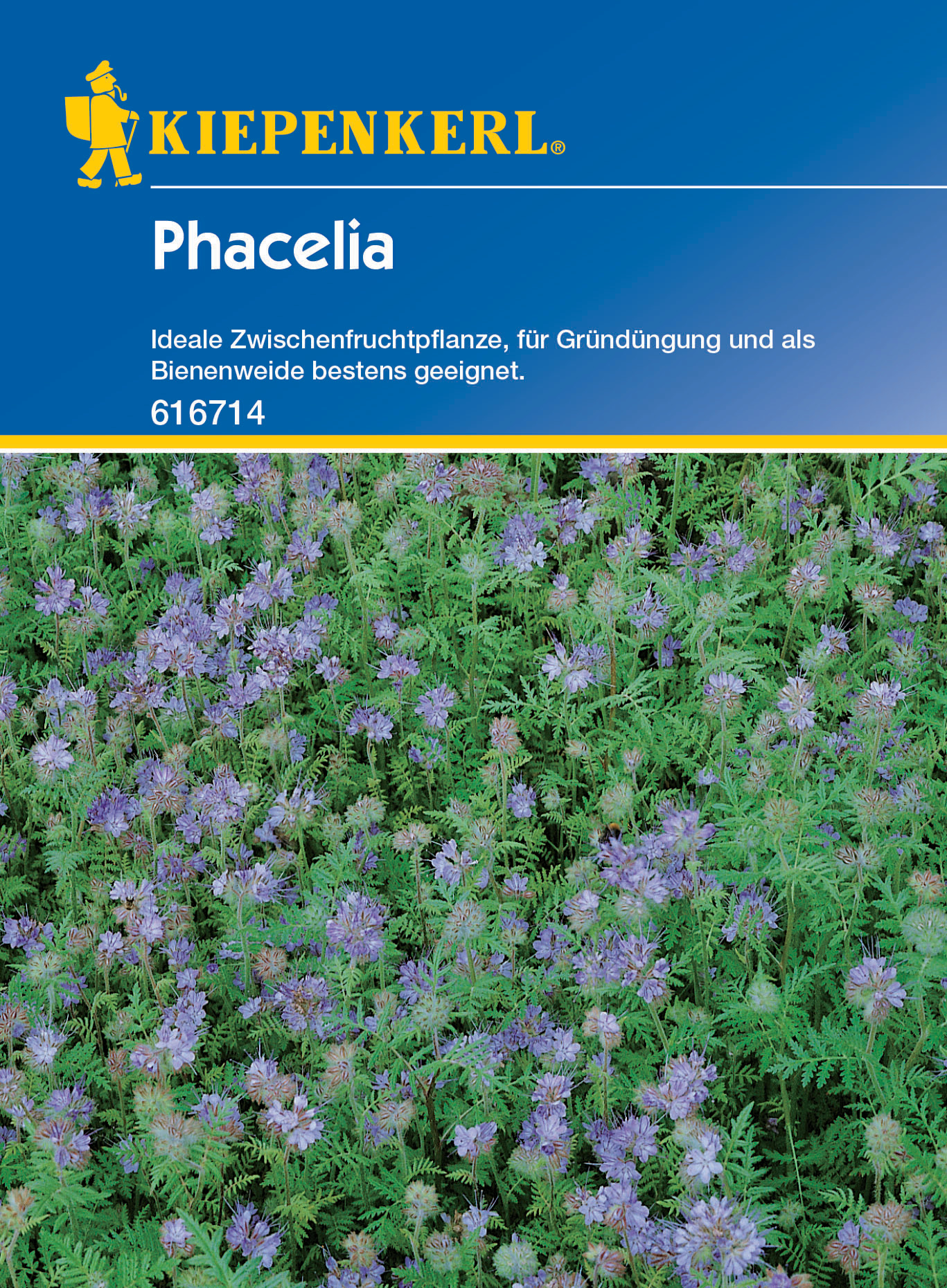 Phacelia 50 Gr